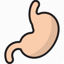 胃