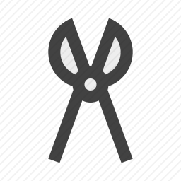 <em>钳子</em>