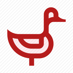 鸭子