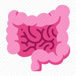 肠