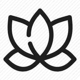 <em>莲花</em>