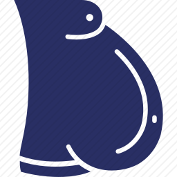 肥胖