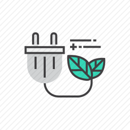 <em>插头</em>