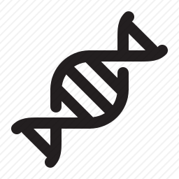 DNA