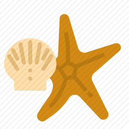 海星贝壳