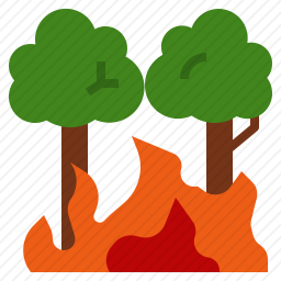森林起火