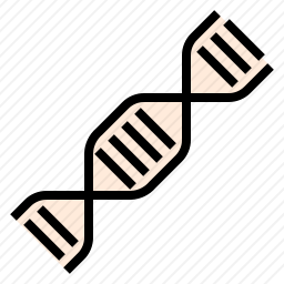 DNA