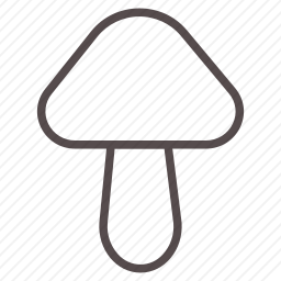 <em>蘑菇</em>