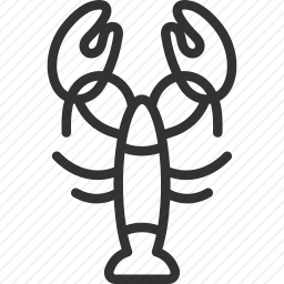 <em>龙虾</em>