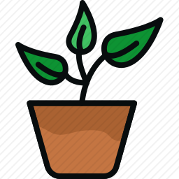 <em>植物</em>