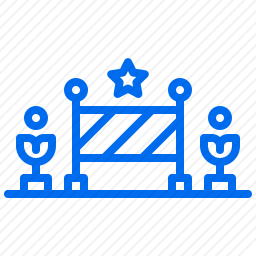 <em>成功</em>