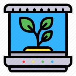 <em>植物</em>