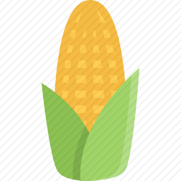 玉米