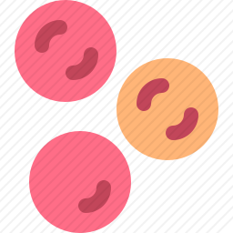 <em>细胞</em>