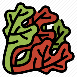 <em>蔬菜</em>