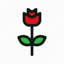 <em>玫瑰</em>
