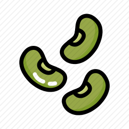 豆子