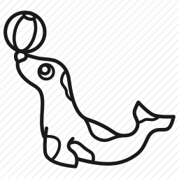 海豹
