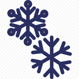 <em>雪花</em>