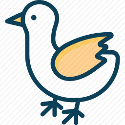 <em>鸡</em>