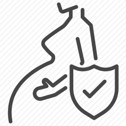 <em>怀孕</em>