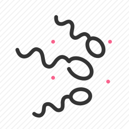 <em>精子</em>