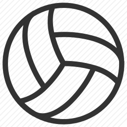 <em>排球</em>