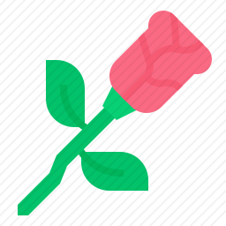 <em>玫瑰</em>