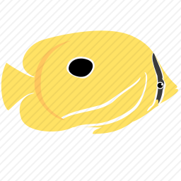 鱼