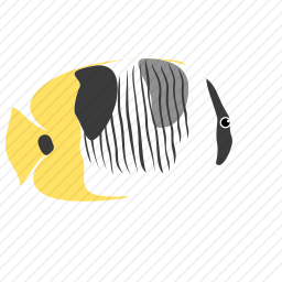 鱼