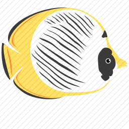 鱼