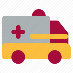 <em>救护车</em>