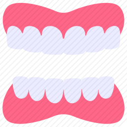 <em>牙齿</em>
