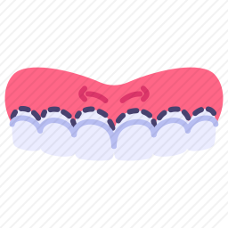 <em>牙齿</em>