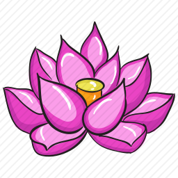 莲花