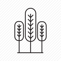 树