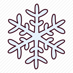 <em>雪花</em>