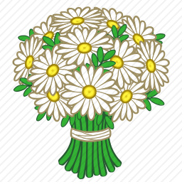 <em>洋甘菊</em>