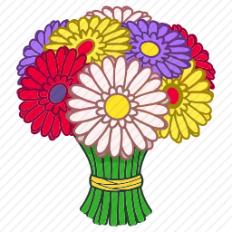 <em>非洲菊</em>