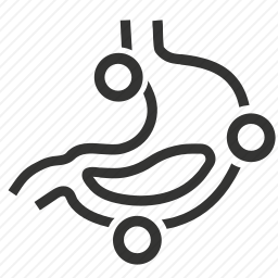 胃