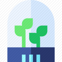 植物