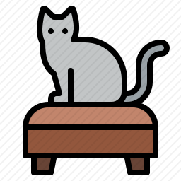 猫