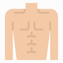 <em>身体</em>