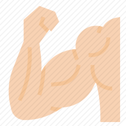 肌肉