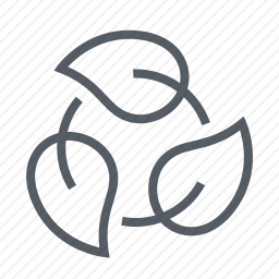 <em>叶子</em>