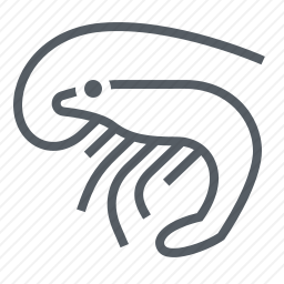 <em>虾</em>