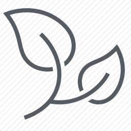 <em>叶子</em>