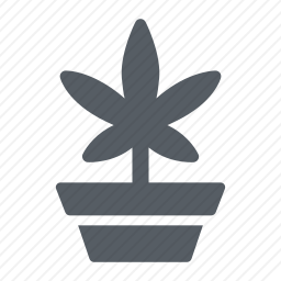 大麻