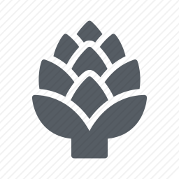 <em>朝鲜蓟</em>