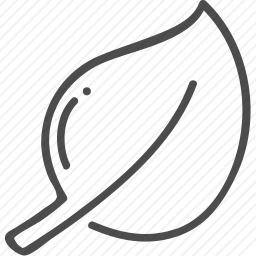 生态学